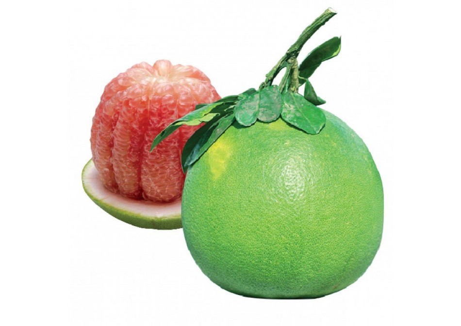Tin tức Tin tức