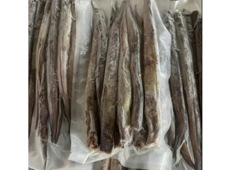 Cá lạt trứng 1 nắng