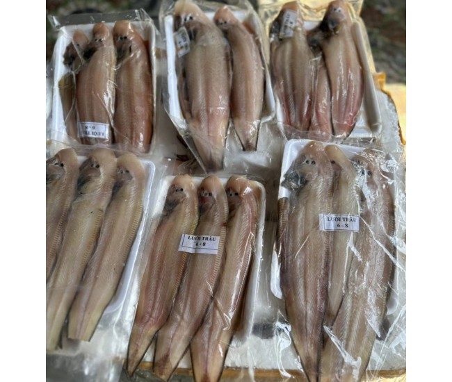 KHÔ CÁ LƯỠI TRÂU 1 NẮNG