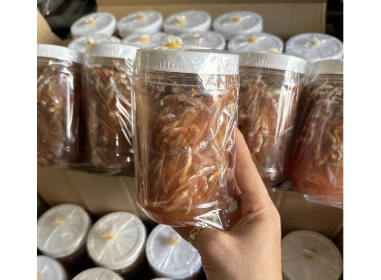 Mắm cá cơm