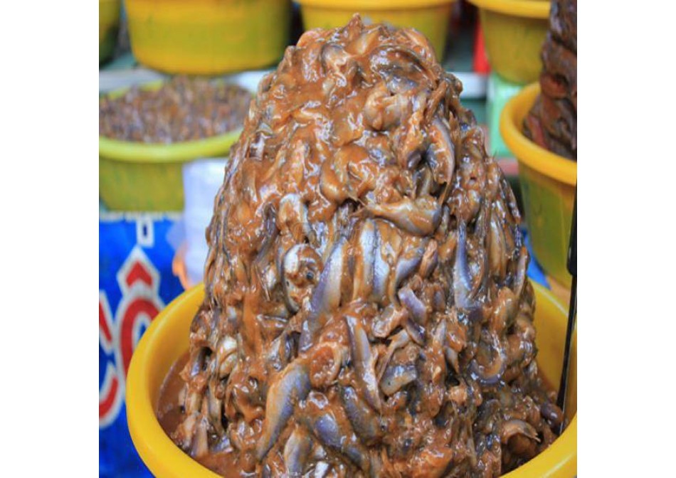 Tin tức Tin tức
