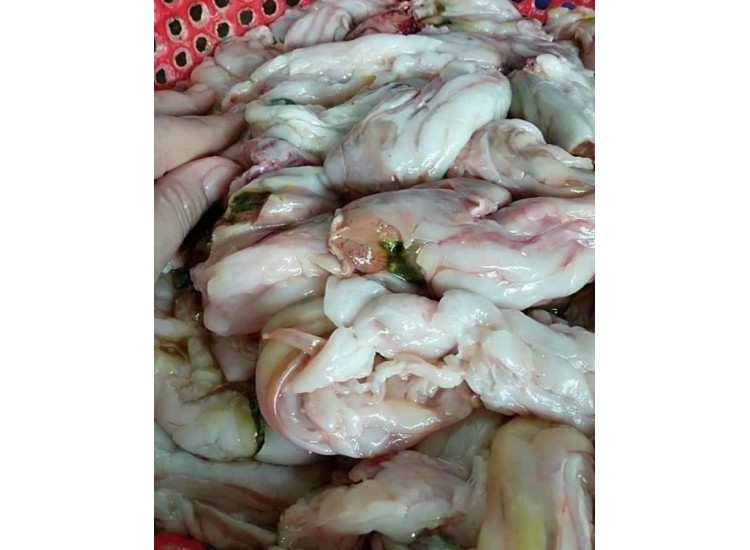 Ruột cá lóc