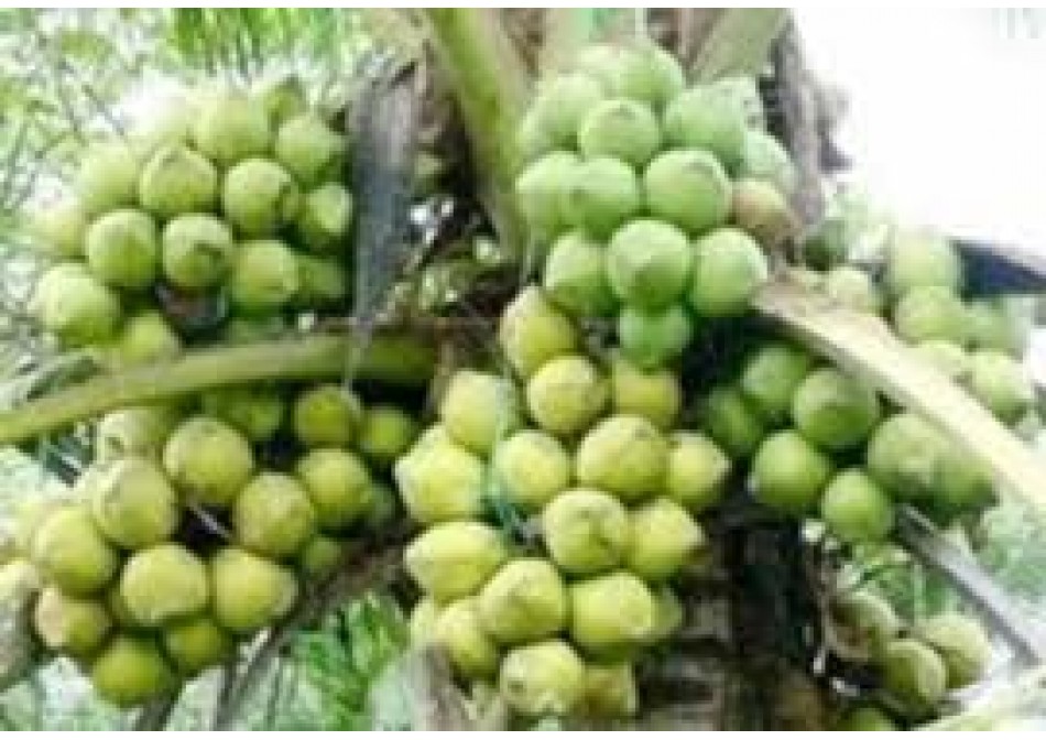 Tin tức Tin tức